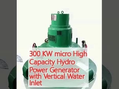 Generatore idroelettrico micro ad alta capacità di 300 kW con ingresso di acqua verticale
