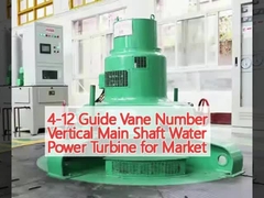4-12 Numero di Vane di guida Verticale Arco principale Turbina idroelettrica per il mercato