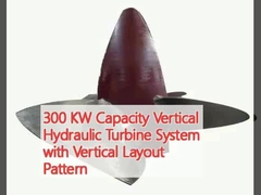 Sistema di turbine idraulica verticale di 300 kW di capacità con disegno verticale