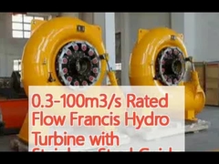 0.3-100 m3/s Flusso nominale Francis Turbina idroelettrica con vano guida in acciaio inossidabile e portata di 2 M3/s