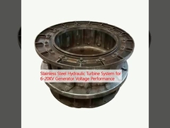 Sistema di turbina idraulica in acciaio inossidabile per prestazioni di tensione del generatore da 6 a 20 KV
