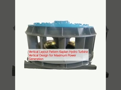 Disegno verticale della turbina idroelettrica Kaplan