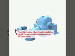 Generazione di energia semplificata con la turbina idroelettrica Pelton a 134 m di velocità e 600 r/min
