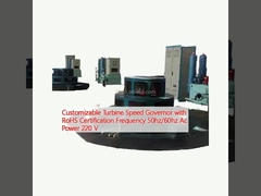 Regolatore di velocità della turbina personalizzabile con certificazione RoHS Frequenza 50hz/60hz Potenza 220 V