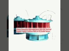 Gestione delle risorse idriche Turbina idroelettrica verticale Kaplan da 300 kW con 4-12 pale guida