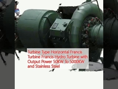 Tipo di turbina Turbina Francis orizzontale Turbina Francis Turbina idroelettrica con potenza di uscita da 50 kW a 5000 kW e acciaio inossidabile