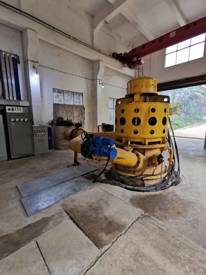 Acciaio al carbonio alloggiamento turbina idrica albero verticale per macchinari pesanti