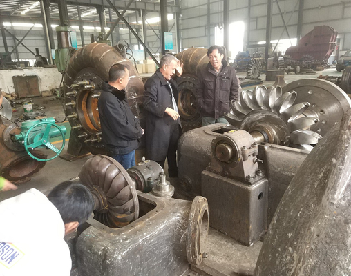 Parti di turbine ad acqua per disegno verticale e caratteristiche prestazionali personalizzabili