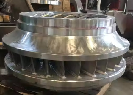 Efficienza nominale del 96% Francis Turbina idroelettrica Francis Turbina orizzontale Flusso di uscita 1,8 M3/s