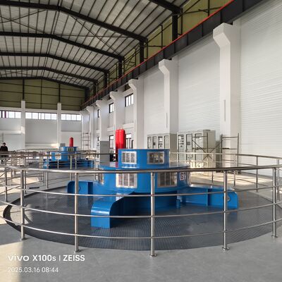 Turbina Francis verticale personalizzata per applicazioni a media e alta prevalenza con affidabilità senza pari