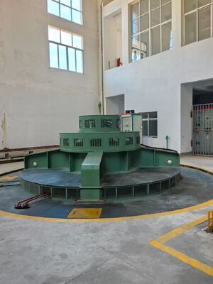 Turbina Francis verticale personalizzata per applicazioni a media e alta prevalenza con affidabilità senza pari