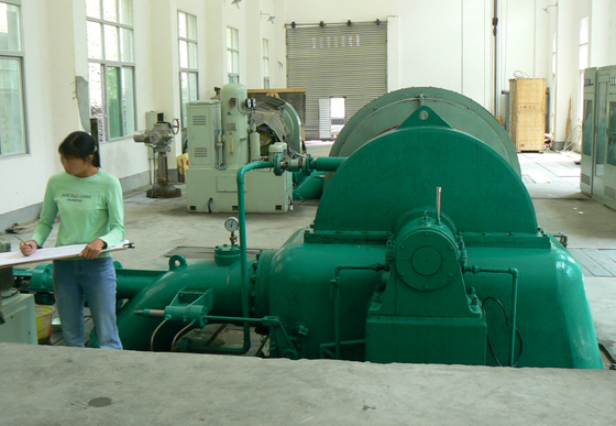 diametro verticale del corridore del generatore a turbina 0.6m dell'acqua di 500kw Pelton