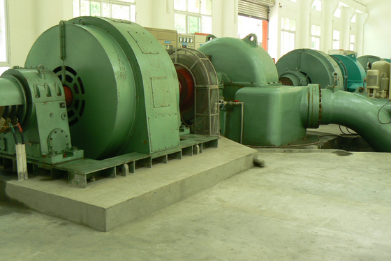 diametro verticale del corridore del generatore a turbina 0.6m dell'acqua di 500kw Pelton