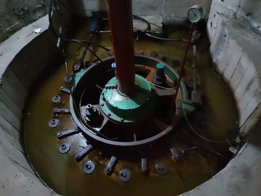 Idro generatore a turbina fisso della lama 1300kw Kaplan per la micro centrale elettrica