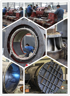 Turbina capa 550kw 0.4m3/S dell'acciaio inossidabile 180m Pelton idro