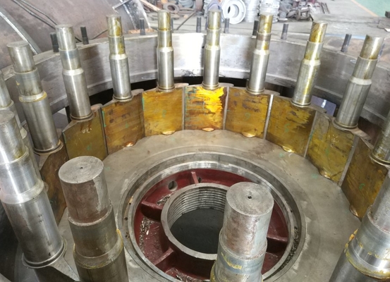 Lama regolabile del corridore turbina orizzontale verticale di Kaplan dell'idro senza spazzola