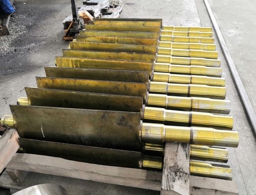 micro Kaplan idro turbina di 800kw per le teste medie basse 2m-30m