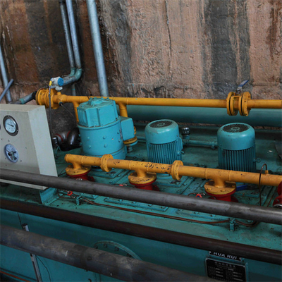 Turbina capa 50HZ di verticale 100m Pelton idro sulla griglia 5000RPM