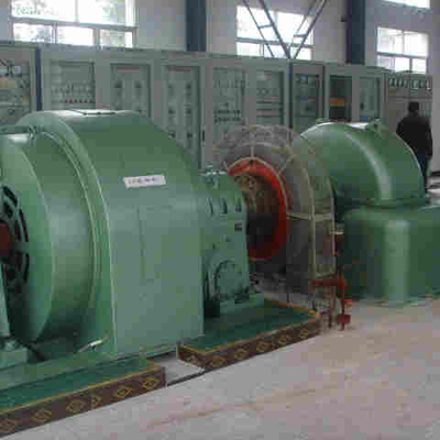 Micro Mini Piccola Acqua Francis Pelton Turgo Kaplan Turbina idroelettrica Magnete permanente Generatore alternatore EPC
