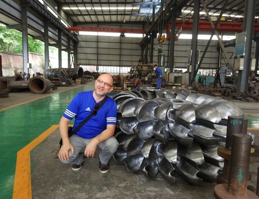 Piccolo orizzontale verticale del corridore 800KW della ruota di Pelton della turbina di flusso