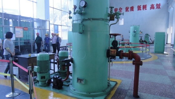 Micro Mini Piccola Acqua Francis Pelton Turgo Kaplan Turbina idro idroelettrica Magnete permanente Generatore alter
