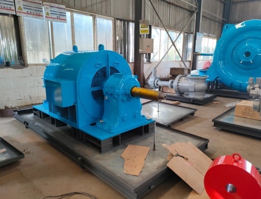 l'orizzontale di 300kw Mini Hydroelectric Generator 400v ha forgiato l'acciaio