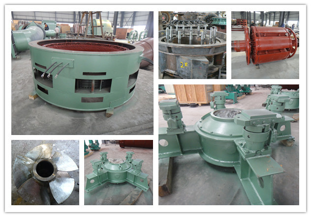 Idro turbina di 60HZ Kaplan fuori dalla griglia per la turbina di Mini Hydro Station Vertical Kaplan