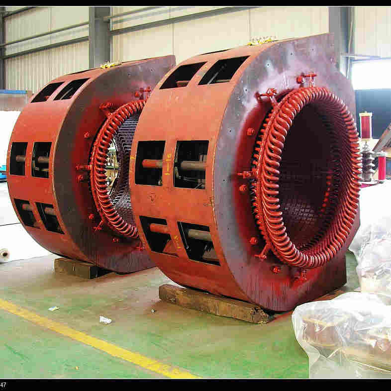turbina verticale 50hz di 300kw Kaplan idro sulla griglia fuori dalla testa dell'acqua della griglia 60Hz 15m