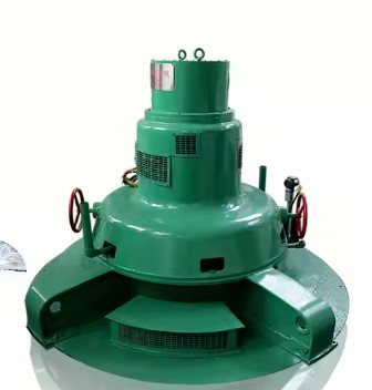 Generatore idroelettrico micro ad alta capacità di 300 kW con ingresso di acqua verticale