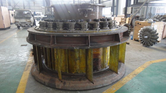 Turbina idraulica Kaplan con palette direttrici regolabili, pala in acciaio inossidabile e generatore da 6300V per una produzione efficiente di energia idroelettrica