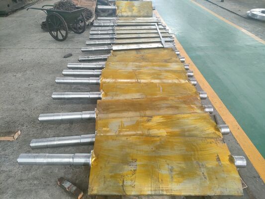 Turbina idroelettrica Kaplan con angolo regolabile della lama da 15° a 30° per la testa nominale da 2 a 200 m e materiale da stalla inossidabile